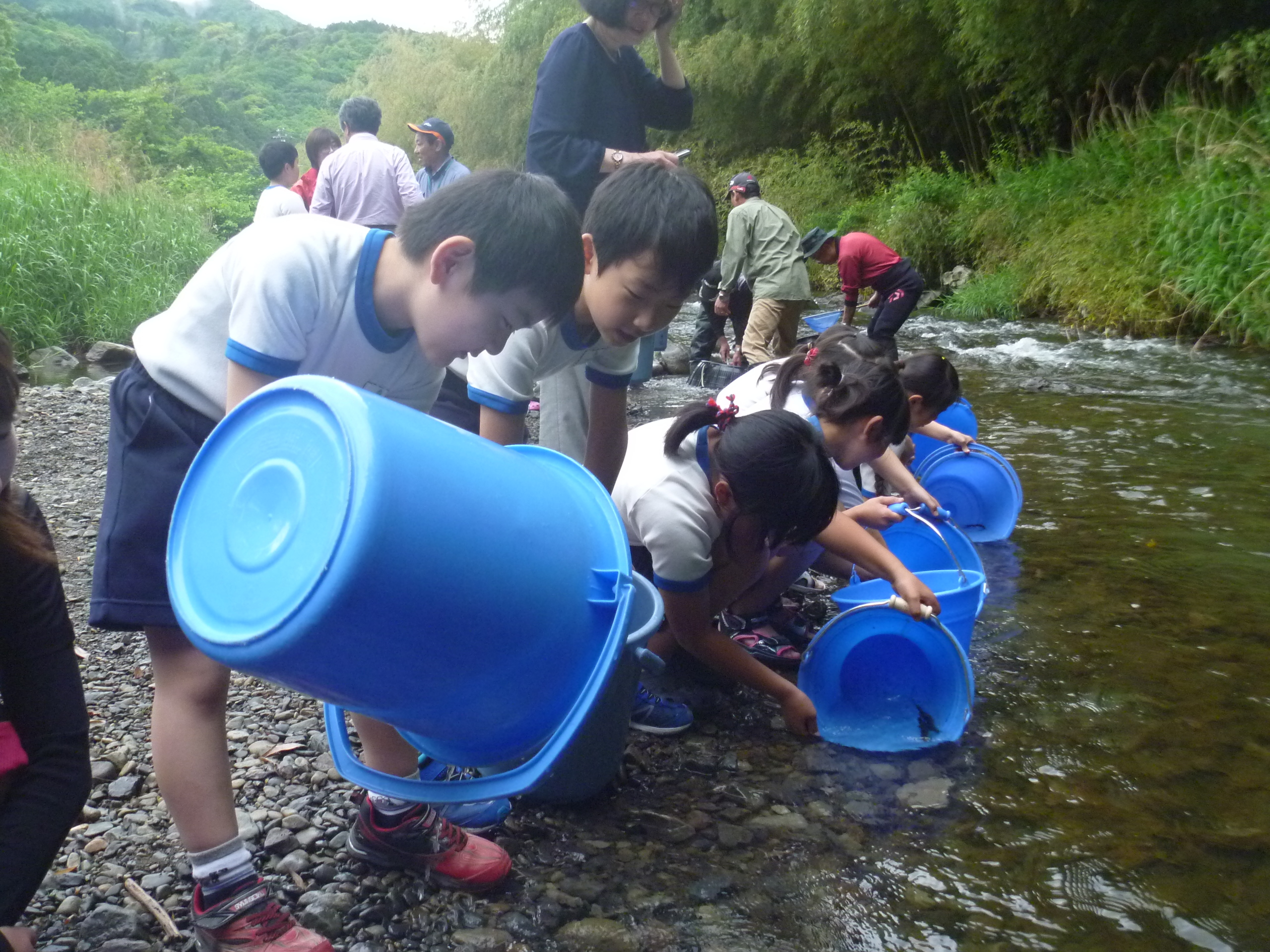 P1140137.JPG